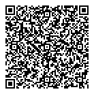 Mathur V K Md QR Card