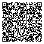 Dramis Network Cabling Ltd QR Card