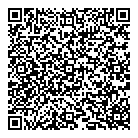 Deluxe Detailing QR Card