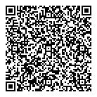 Strategic Concepts Inc QR Card