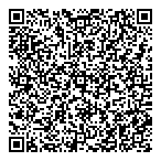 Dillon Consulting Ltd QR Card