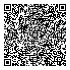 D  L Airgun QR Card