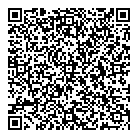 Sequel Consulting QR Card