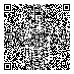 Super-Bee Striping  Acces QR Card