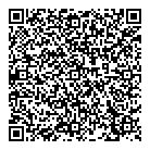 Mobilinq QR Card