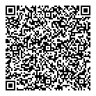 Double V Detailing QR Card