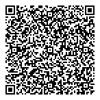 Northern Lites Synchronized QR Card