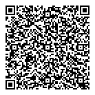 Blue Sky Limos QR Card