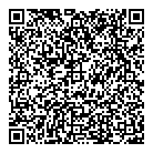 D Valves Ltd QR Card