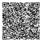 Laser  Style QR Card