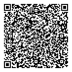 Data Audit Industries Ltd QR Card