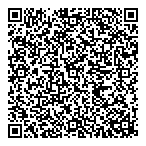 V L B Financial Services QR Card