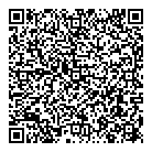 D C Solutions Ltd QR Card