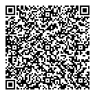 Vdm Trucking Ltd QR Card