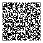 Aspen Taxi QR Card