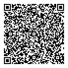 Electronics Hybrid QR Card