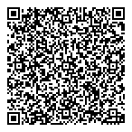 Camenex Control Systems Ltd QR Card