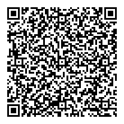 V N Express QR Card