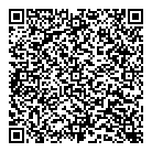 Ndt Global Inc QR Card