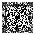 3 Boys Consulting QR Card