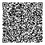 Phoenician Accounting QR Card