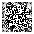 Slvs Consulting Inc QR Card