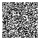 Viking Projects Ltd QR Card