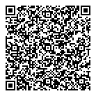 Vip Car Care QR Card