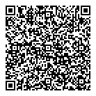 A1 Carwash QR Card