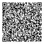 L M T Consultation Inc QR Card