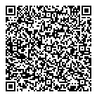 Shinyanbola Medical QR Card