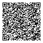 Dr Geek QR Card