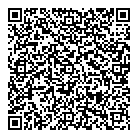 Dlm Consulting QR Card