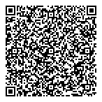 Northern Lights Security QR Card