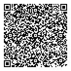 Professional Business Cnnctn QR Card