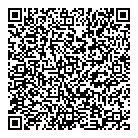 D K Ford Sales Ltd QR Card