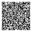 Teno Consulting QR Card