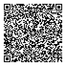 Apex Geek Solutions QR Card