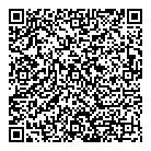 Car Dealer Pro QR Card