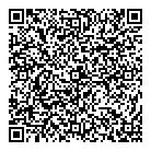 Wireless Age QR Card