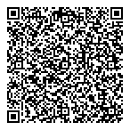 Pluritec Limitee QR Card