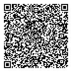 Voltech International Inc QR Card