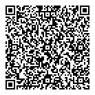 Domar Electrique Inc QR Card