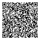 Option Cfo Inc QR Card