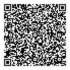 Image De Soie QR Card