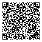 Temisko Inc QR Card