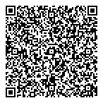 Automobile Paquin Lte Ford QR Card