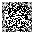 Plastics Cm QR Card