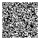 Bisson Michel QR Card