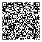 Brigil Platine QR Card